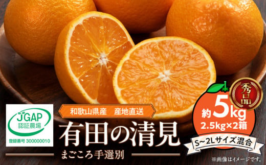 ZE6120n_【2026年先行予約】和歌山県産 有田の 清見 5kg (2.5kg×2