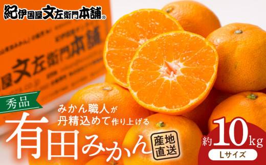 V7432_ブランド有田みかん【Ｌ】秀品10kg／産地直送／薄皮で