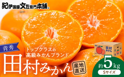V7449_青秀 田村みかん 5kg Sサイズ 濃厚 紅色 果皮 果肉 糖度 