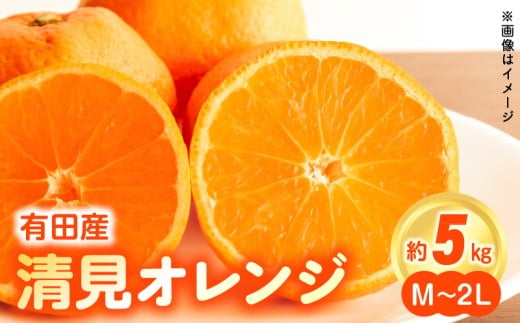 ZN6001n_【2026年先行予約】和歌山県有田産 完熟 清見オレンジ