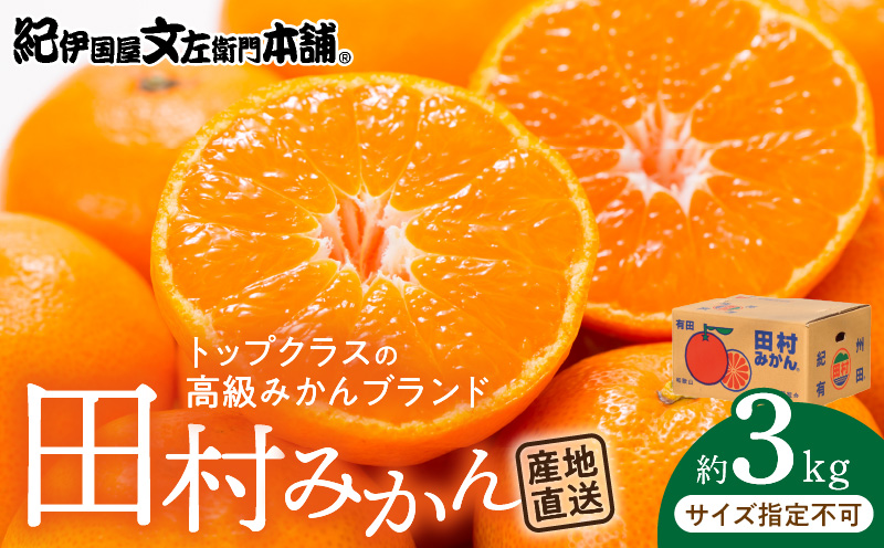 V7454_【2026年先行予約】田村みかん／特選ギフト品3kg【サイ