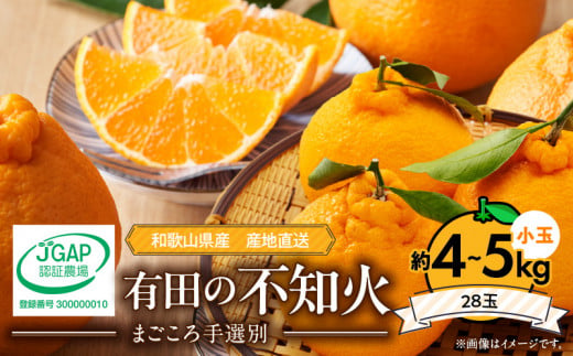 ZE6101n_【2026年先行予約】有田の不知火(しらぬひ）約4kg～5kg