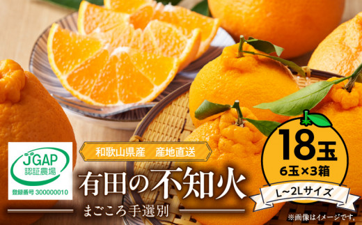 ZE6112n_【2026年先行予約】有田の不知火(しらぬひ)　6玉× 3箱