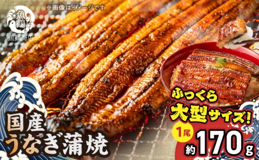 G7004_大型サイズ ふっくら柔らか 国産うなぎ 蒲焼き 容量 発