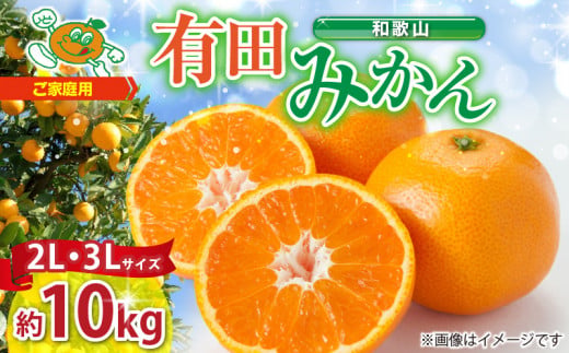 ZJ6079_ご家庭用　和歌山 有田みかん 約10kg (2L、3Lサイズ)【湯