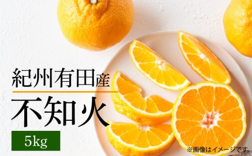 G7356_【2026年先行予約】不知火 5kg デコポン 柑橘の王様 甘い