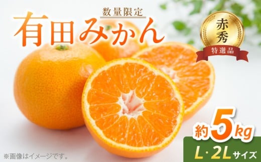BF6006n_【数量限定】【赤秀 特選品】 有田みかん L,2Lサイズ 