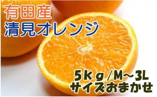 ZD6113n_【2026年先行予約】【産直】有田産清見オレンジ 約5kg 
