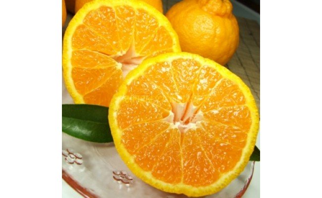 V7413_デコ 不知火 約2.8kg 和歌山県有田産 春みかん (果実サイ