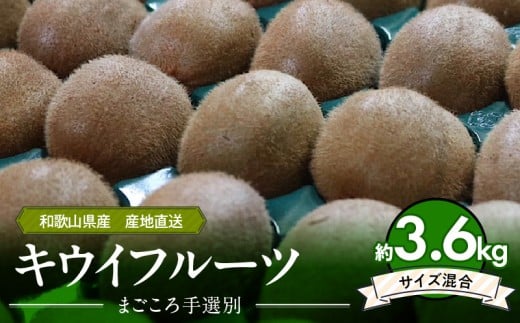 ZE6187n_【2026年先行予約】和歌山県産 キウイフルーツ 3.6kg (