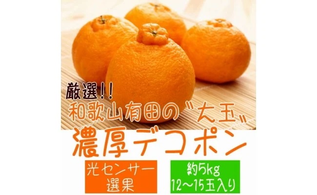 AB7207_【2026年先行予約】和歌山有田の濃厚 大玉 デコポン 5kg