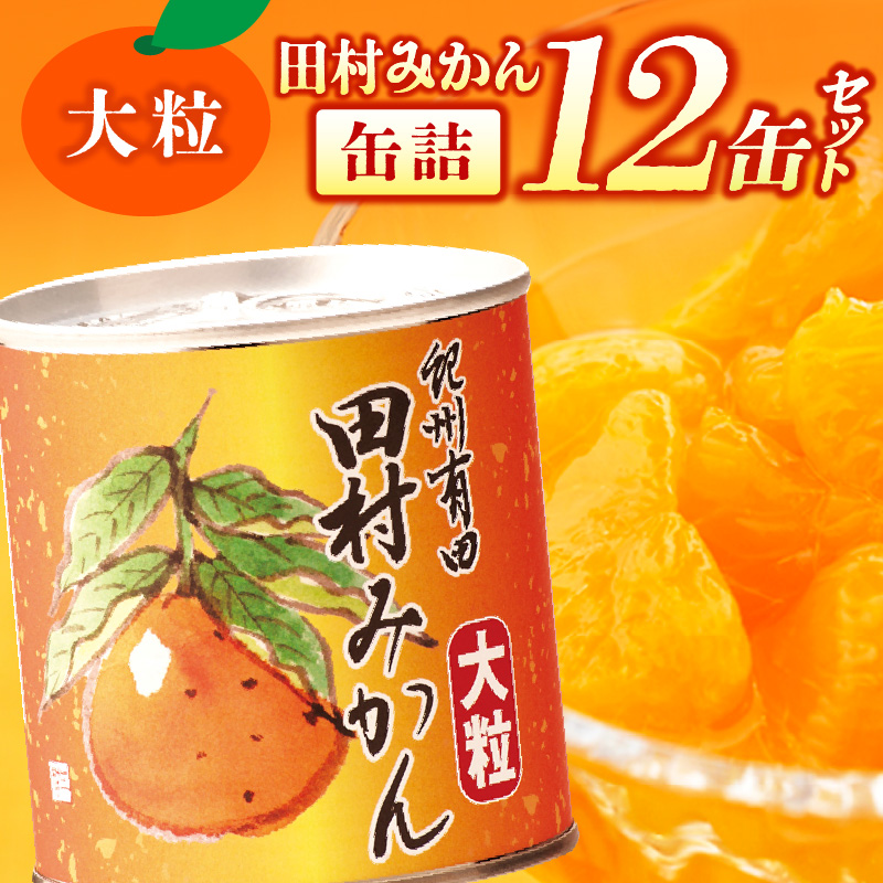 AY6003n_田村みかん 缶詰 12缶セット