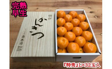 ZF6034n_【完熟早生・有田みかん】化粧箱『特秀』 4kg Lサイズ