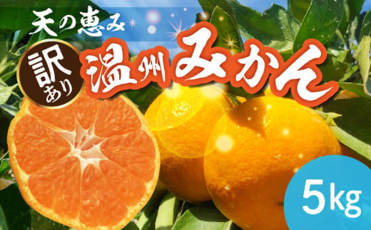 H6012n_天の恵み 温州みかん 訳あり 5kg【ミカン 蜜柑 柑橘 温