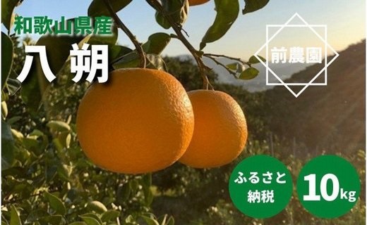 BL6010n_【2026年先行予約】【産地直送】和歌山県産 八朔 10kg (