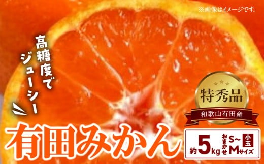 BD6035n_高糖度 有田みかん 特秀品 5kg 小玉 (S～Mサイズおまか