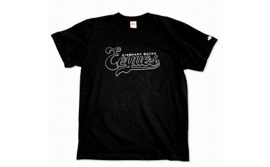 AP6025n_二ノ丸温泉「Eeyues Tシャツ」 (XLサイズ)