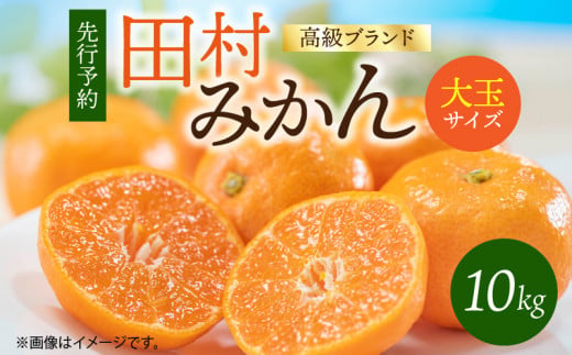 G7052_【2026年11月下旬より発送】高級ブランド 田村みかん 10k