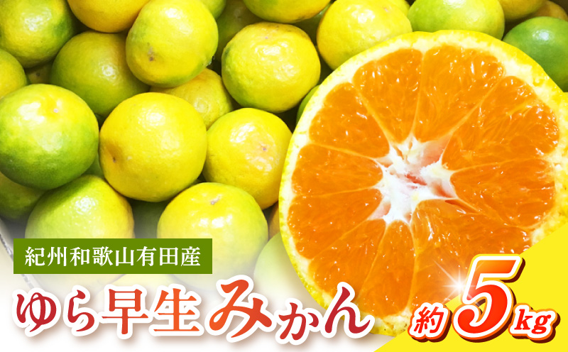 G7097_【2026年 先行予約】紀州和歌山有田産 ゆら早生みかん 5