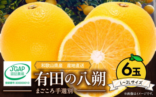 ZE6306n_【2026年先行予約】有田の八朔 (はっさく) 1.5kg　6玉（L