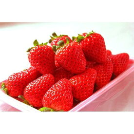 G7346_紀州和歌山ブランド いちご まりひめ 250g×4P