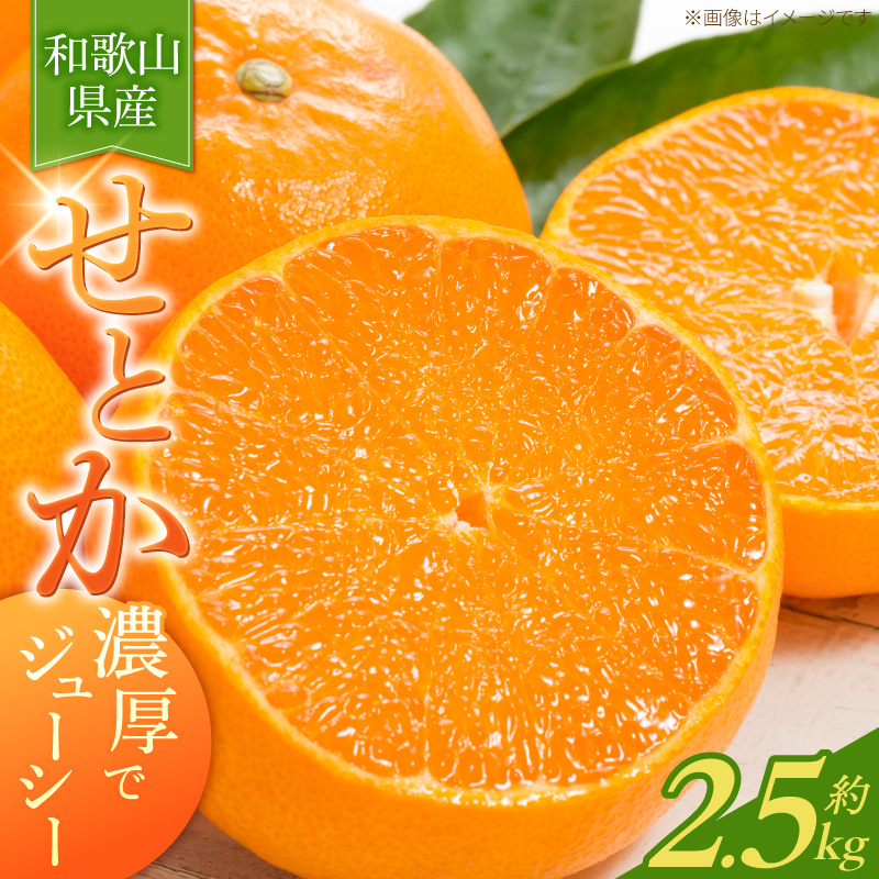 G7349_【2027年先行予約】とろける食感！ジューシー柑橘 せと