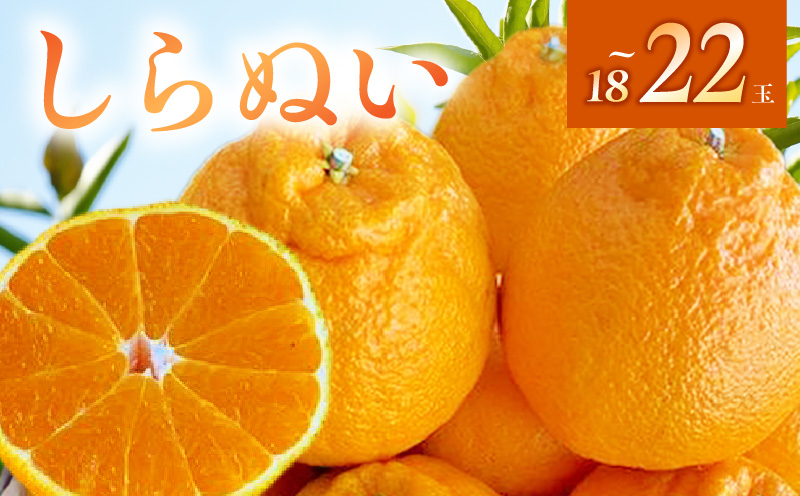 BF6064_（2026年先行受付）しらぬい（デコポン）18～22玉入り 