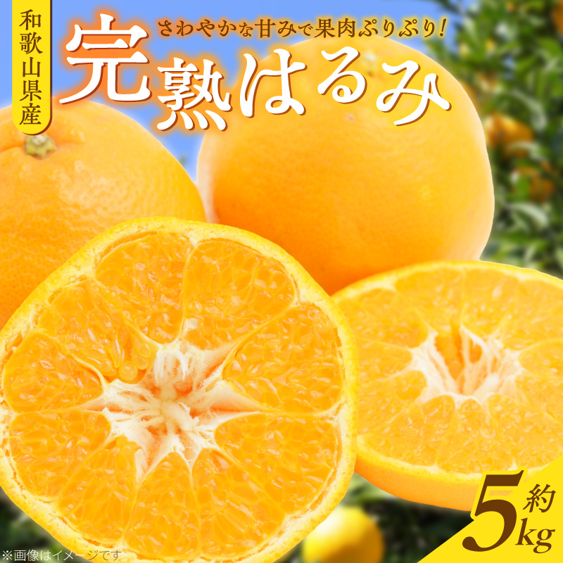 G7056_【2027年先行予約】果肉ぷりぷり! 完熟 はるみ 5kg