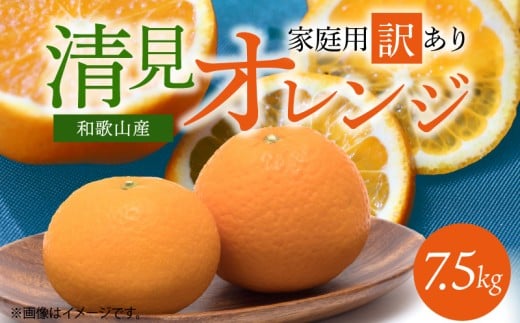 G7067_【2026年先行予約】紀州有田産 清見 オレンジ 7.5kg【家