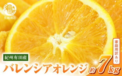 G7080_希少な 国産 バレンシアオレンジ 7kg 【家庭用 訳あり】