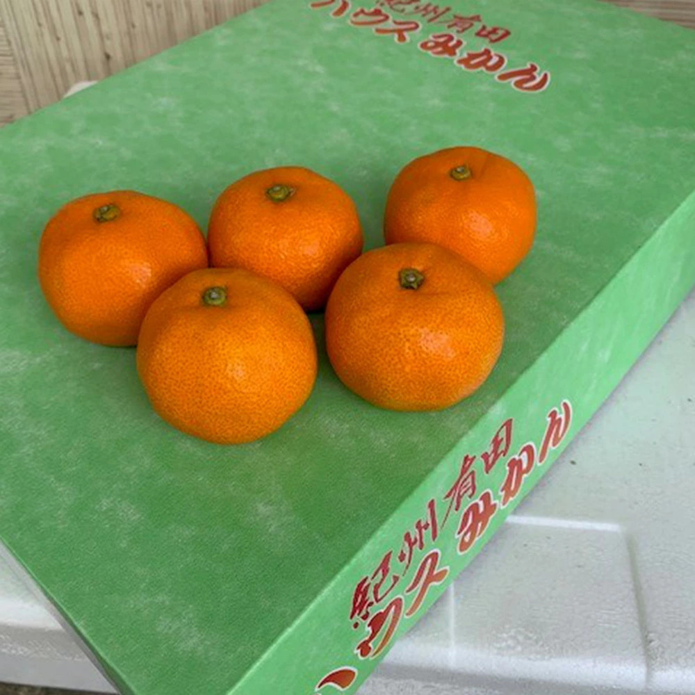 BF6032n_ハウスみかん 化粧箱 約2.5kg 【ミカン 蜜柑 柑橘 温州
