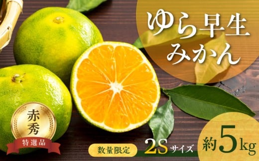BF6040n_【数量限定】 ゆら早生みかん 5kg 赤秀 ２Sサイズ