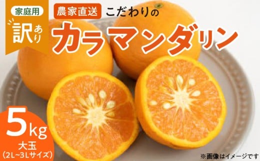 ZT6211n_【2026年先行予約】こだわりの カラマンダリン 【訳あ