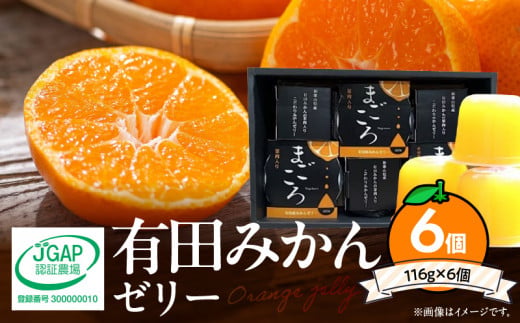 ZE6197n_有田みかんゼリー「まごころ」116g×6個入り（化粧箱