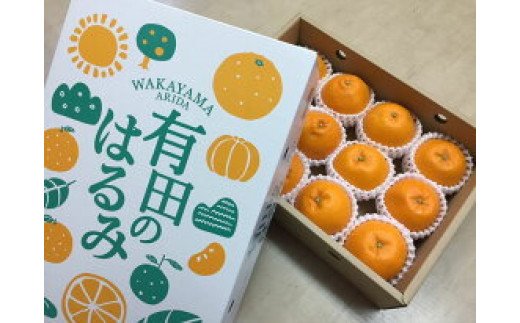 ZE6090n_和歌山県産 有田の はるみ 化粧箱入り 2Lサイズ 12個入