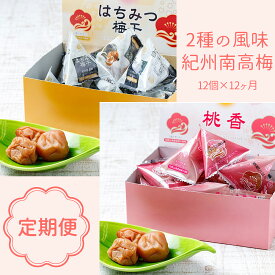 BL6155_【定期便】紀州南高梅 2種の風味 テトラピロー 個包装