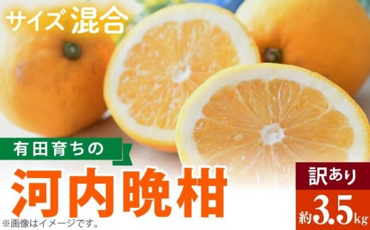 AB7041n_【2026年先行予約】有田育ちの 河内晩柑 【訳あり 家
