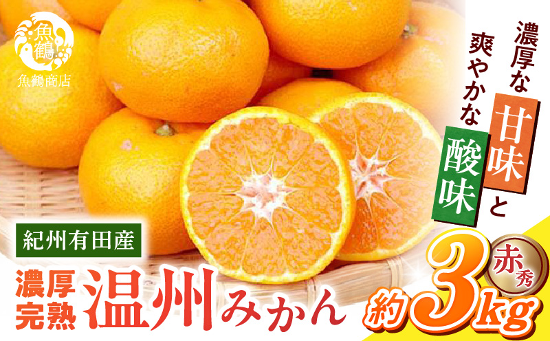 G7042_【2026年11月下旬より発送】紀州 有田産 濃厚甘熟 温州