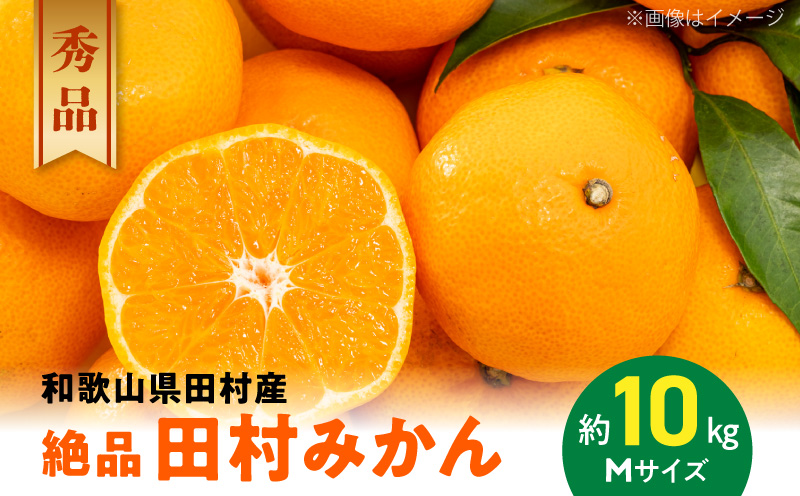 AB7069_【和歌山特産品】【プレミアムブランド】絶品！ 田村