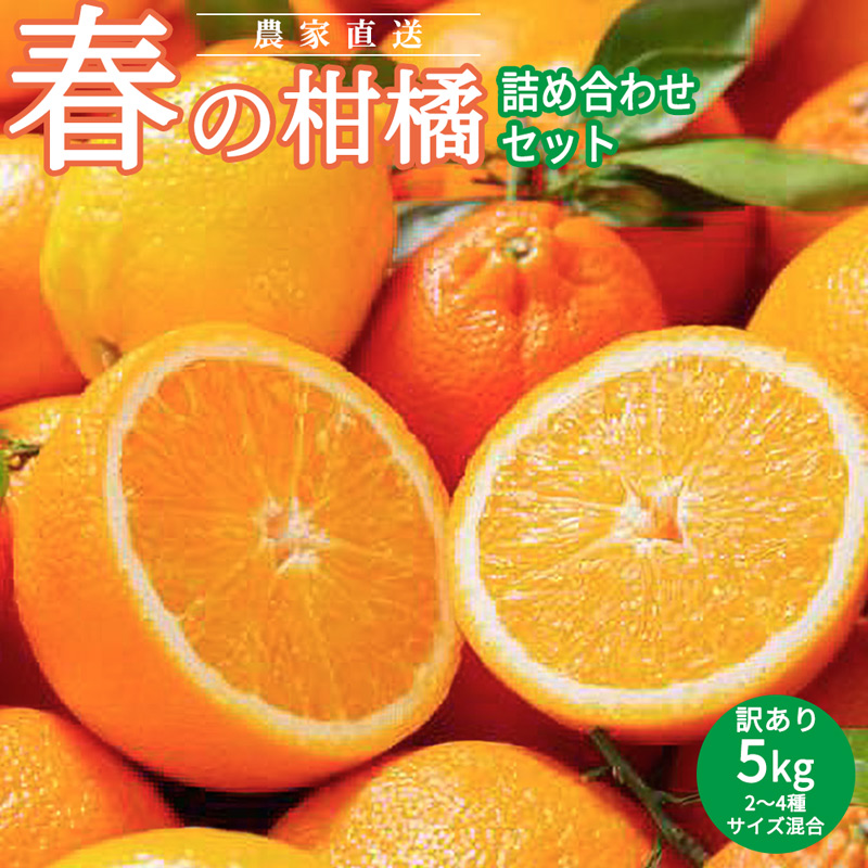 AN6106n_春の柑橘詰め合わせ訳あり5kgサイズ混合（2025年2月下