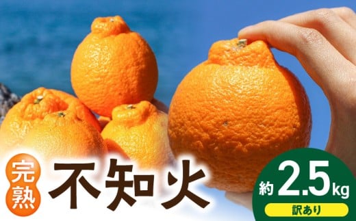 EA6020n_【訳あり・ご家庭用】 和歌山県産 完熟 不知火 2.5kg 