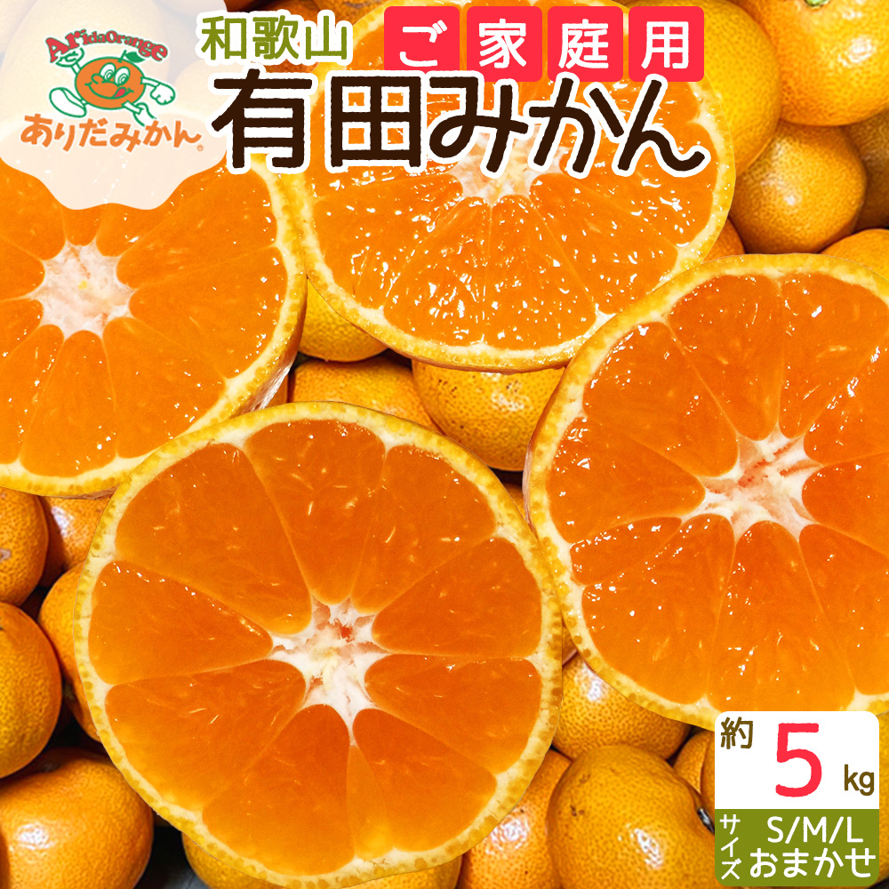 ZJ6082_【ご家庭用】和歌山 有田みかん 約5kg (S、M、Lサイズ)