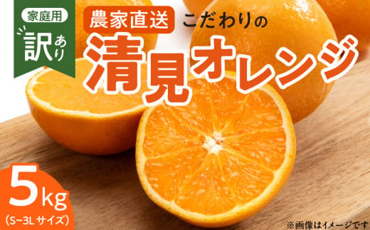ZT6230n_【2026年先行予約】こだわりの 清見 オレンジ 【訳あ