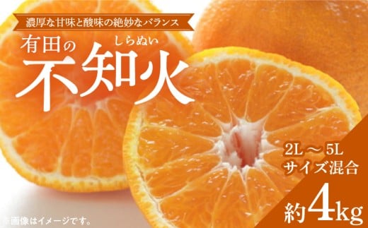 ZD6380n_【2026年先行予約】【濃厚】有田産不知火約4kg（2L～5L
