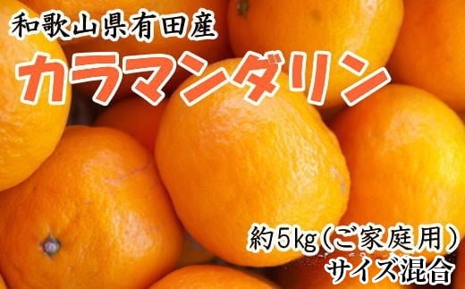 ZD6705n_【2026年先行予約】【春みかん】和歌山県有田産カラ