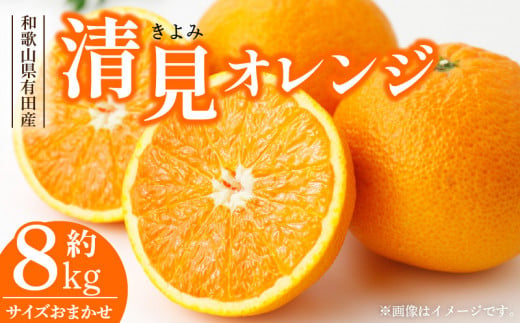 V7414_清見オレンジ[約8kg]和歌山県有田産 春みかん (果実サイ