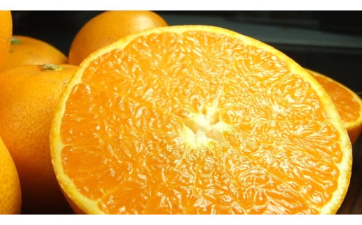 V7410_せとか 秀品 約5kg 和歌山県有田産 春みかん 春柑橘 (果