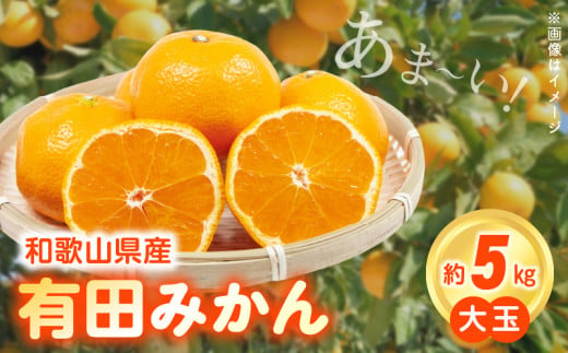 ZN6011n_（大玉）和歌山県産 有田みかん 5kg ひとつひとつ手選