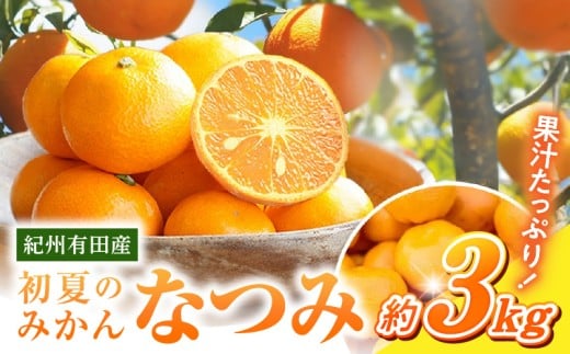 G7071_【2026年先行予約】初夏のみかん なつみ 3kg
