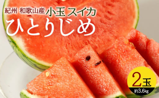 G7077_【2026年先行予約】紀州 和歌山産 小玉 スイカ 「ひとり